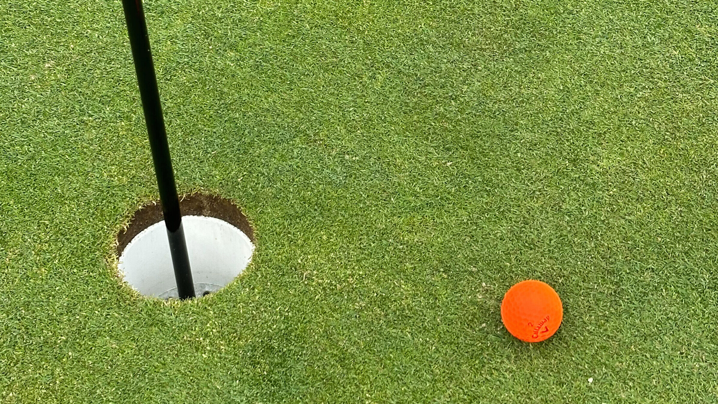 Close-up of an orange golf ball sitting just inches from the hole after a chip shot on the green at Fellows Creek.