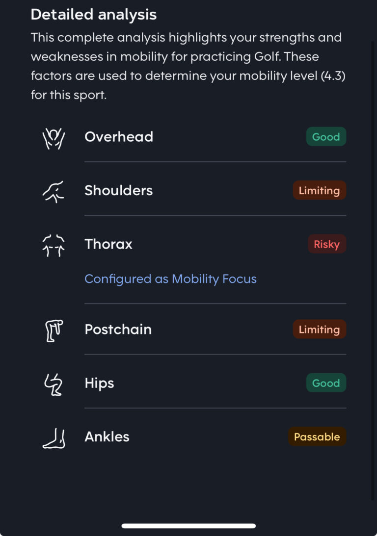 Screenshot of GOWOD’s joint-by-joint mobility rating with risk levels and focus areas