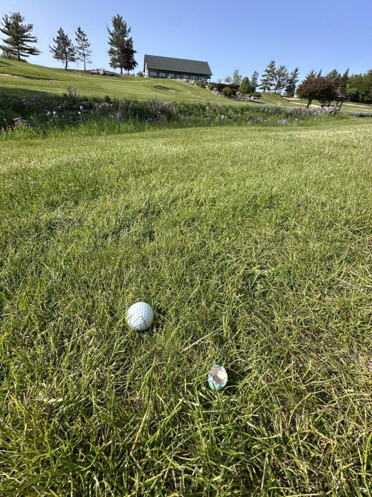 A golf ball and a broken robin’s egg sit side by side in the grass, with a fairway and flower-lined slope leading up to a clubhouse in the distance.